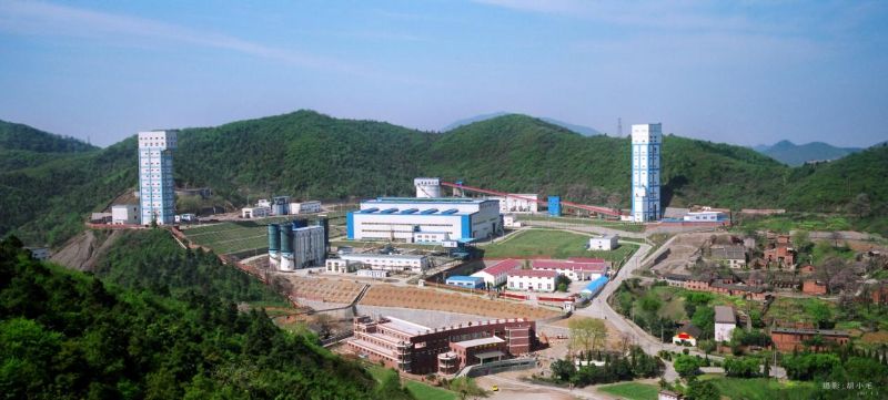 W020241121375645243144