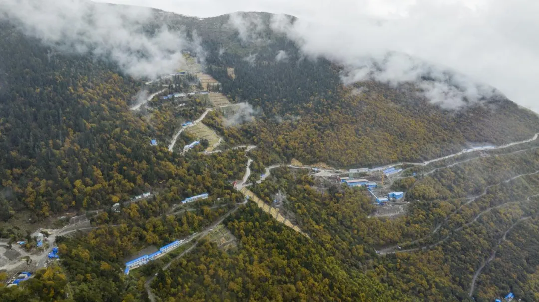 太阳集团tyc539(股份)有限公司官网