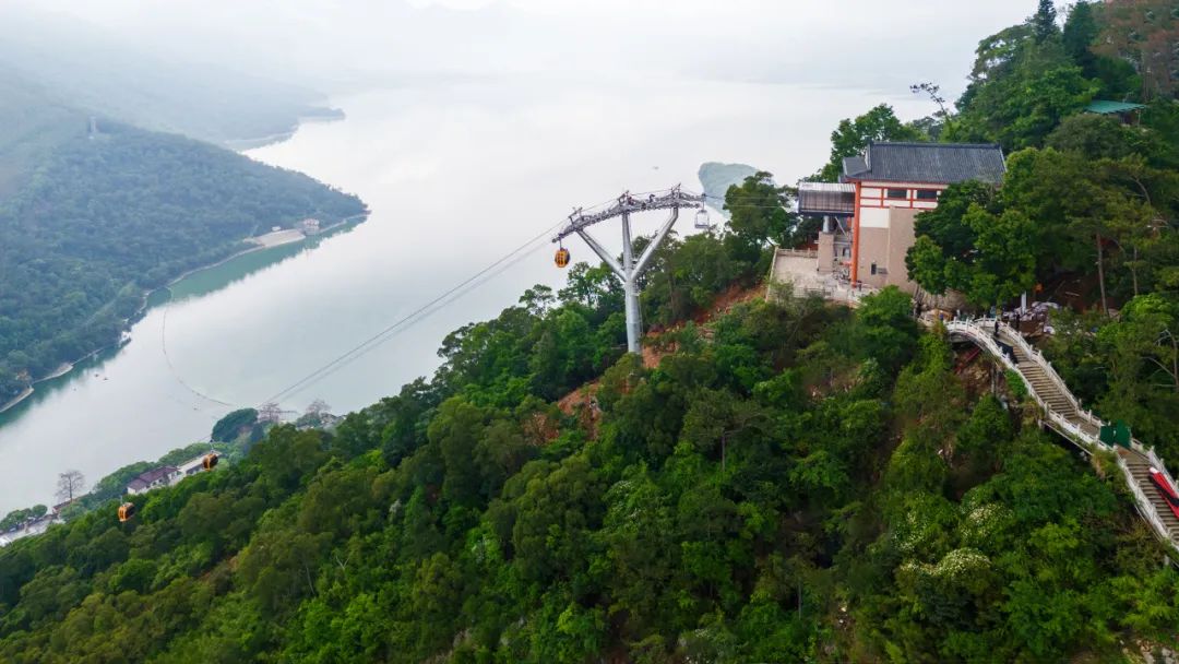 太阳集团tyc539(股份)有限公司官网