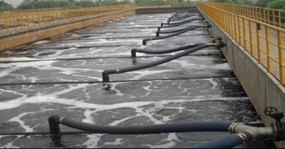 W020241119527684466896