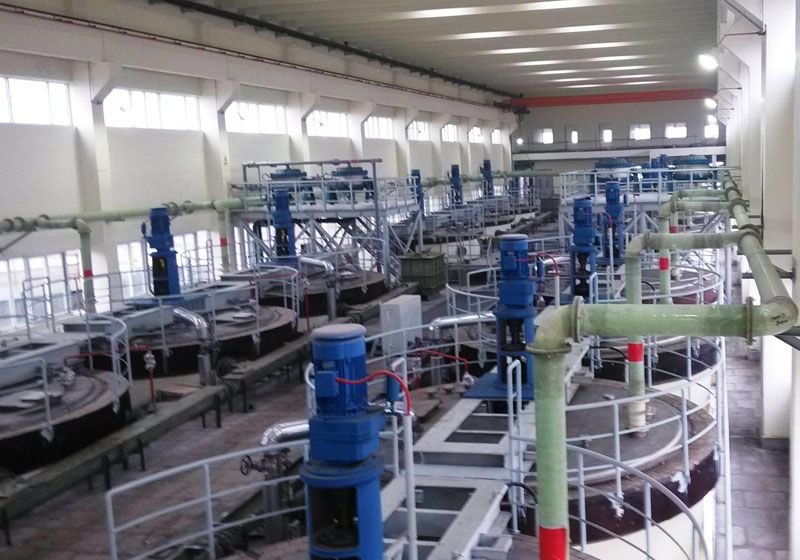 W020241119525556894307